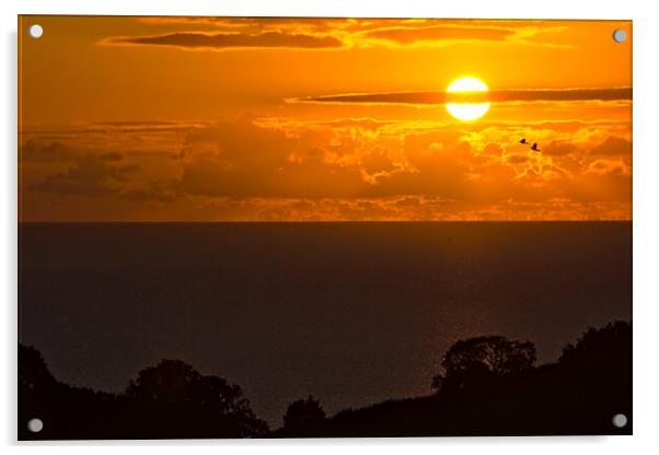 Birds in the Devon Sunrise Acrylic by Jeremy Hayden
