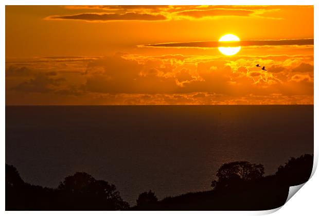 Birds in the Devon Sunrise Print by Jeremy Hayden