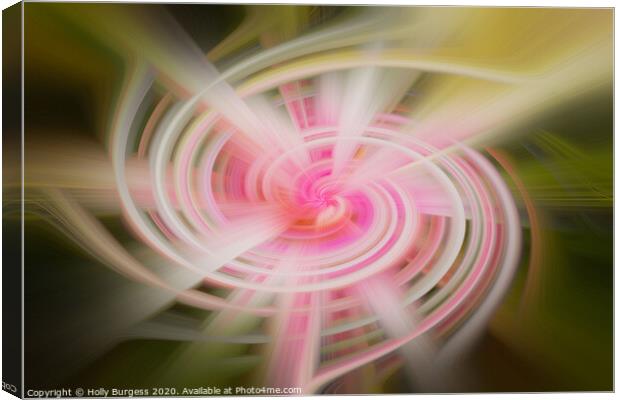 Twirl Abstract from a flower  Canvas Print by Holly Burgess