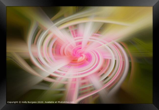 Twirl Abstract from a flower  Framed Print by Holly Burgess