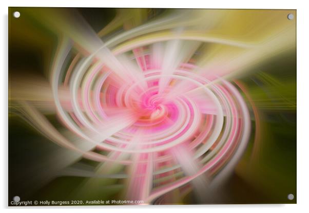 Twirl Abstract from a flower  Acrylic by Holly Burgess