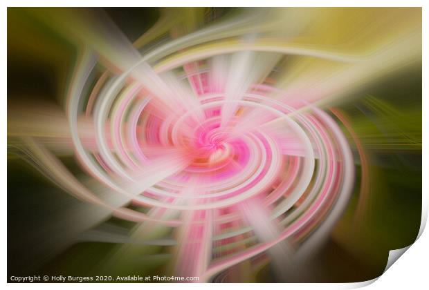 Twirl Abstract from a flower  Print by Holly Burgess