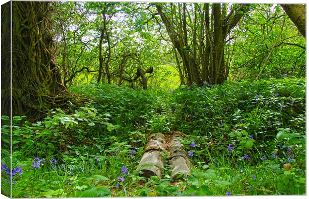 bluebell woods Canvas Print by Northeast Images