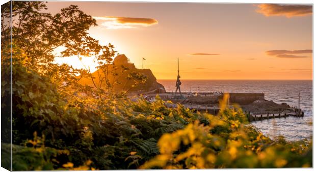 Ilfracombe at Sunset Canvas Print by Steven Fleck