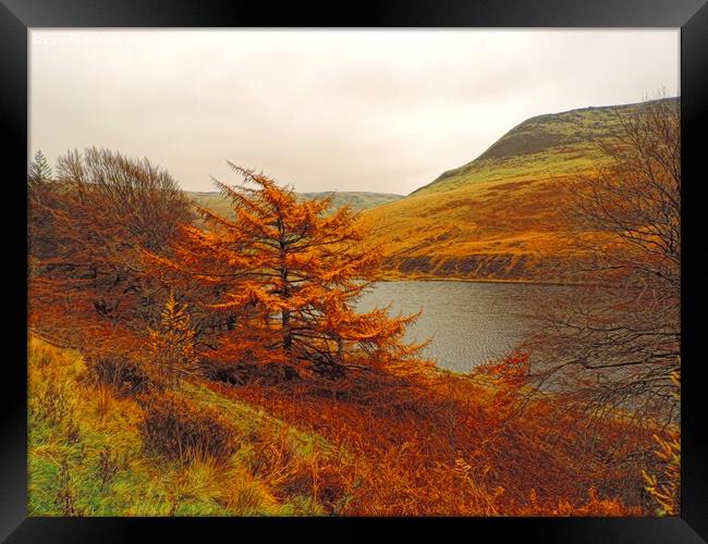 Majestic Autumn Colours Framed Print by Andy Smith