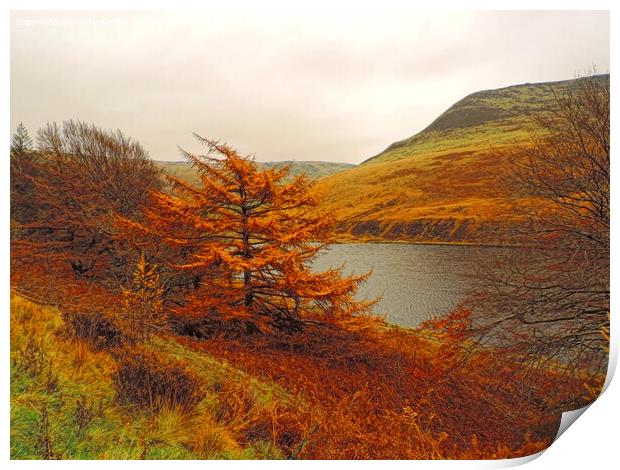 Majestic Autumn Colours Print by Andy Smith