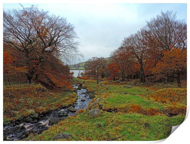 Dovestones autumn colours Print by Andy Smith