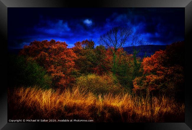 Autumn By Moonlight Framed Print by Michael W Salter