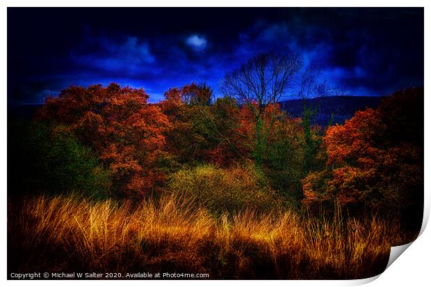 Autumn By Moonlight Print by Michael W Salter