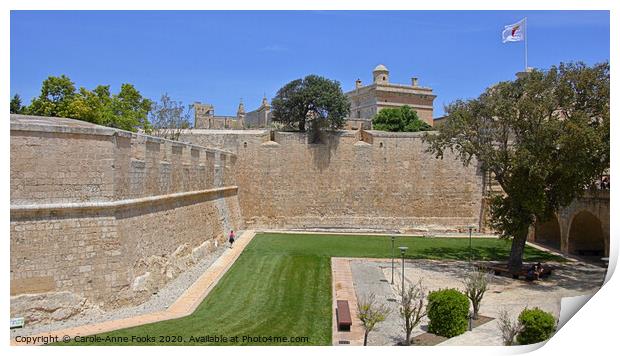 The Moat in Mdina, Rabat, Malta. Print by Carole-Anne Fooks