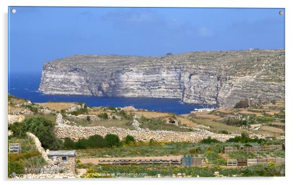 Sannap cliffs Gozo, Malta Acrylic by Carole-Anne Fooks