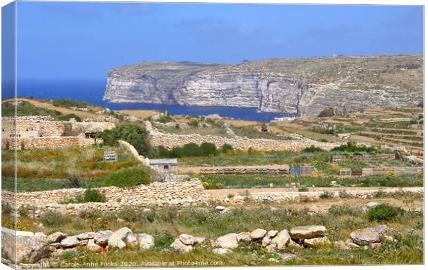 Cliffs, Gozo Malta Canvas Print by Carole-Anne Fooks