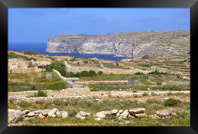 Cliffs, Gozo Malta Framed Print by Carole-Anne Fooks