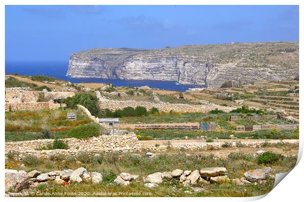 Cliffs, Gozo Malta Print by Carole-Anne Fooks