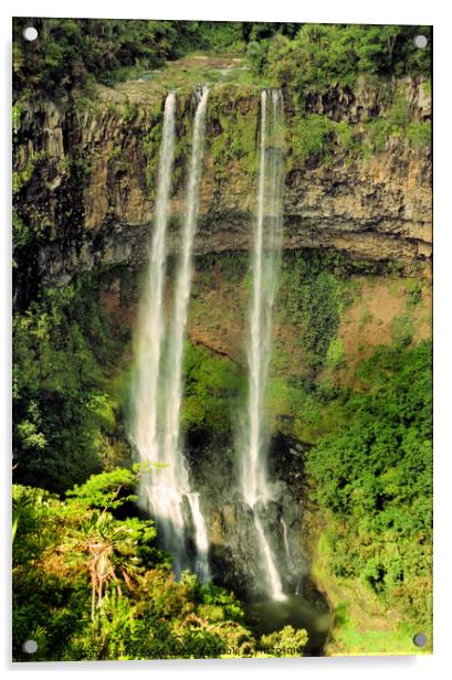 Chamarel Waterfall, Mauritius Acrylic by Carole-Anne Fooks