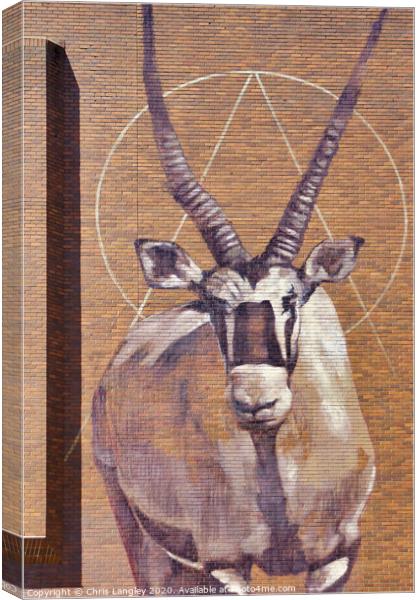 Gemsbok Antelope wall mural Canvas Print by Chris Langley