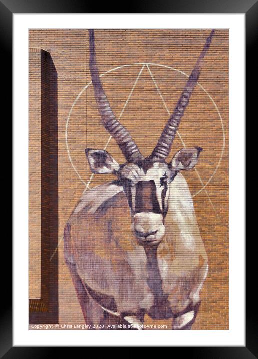 Gemsbok Antelope wall mural Framed Mounted Print by Chris Langley