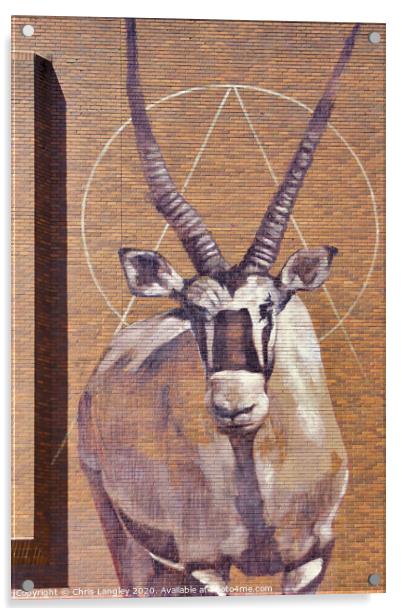 Gemsbok Antelope wall mural Acrylic by Chris Langley