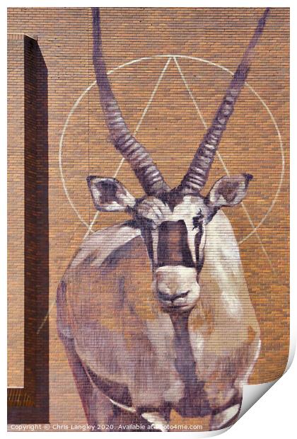 Gemsbok Antelope wall mural Print by Chris Langley