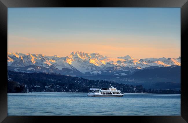 Zurich lake and swiss alps at sunset Framed Print by Daniela Simona Temneanu