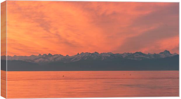 European Alps and lake Constance at sunset. Red sky evening in Constance, Germany Canvas Print by Daniela Simona Temneanu