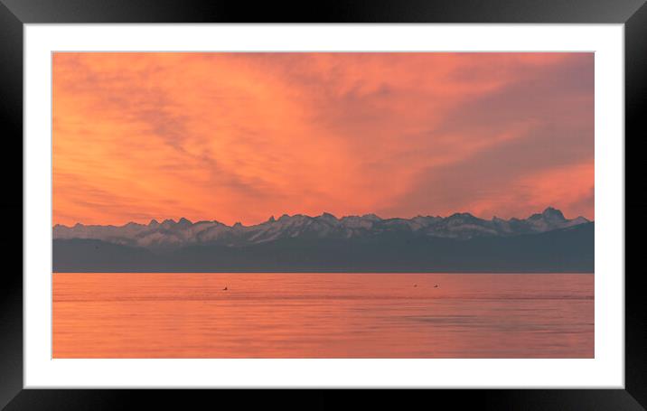 European Alps and lake Constance at sunset. Red sky evening in Constance, Germany Framed Mounted Print by Daniela Simona Temneanu