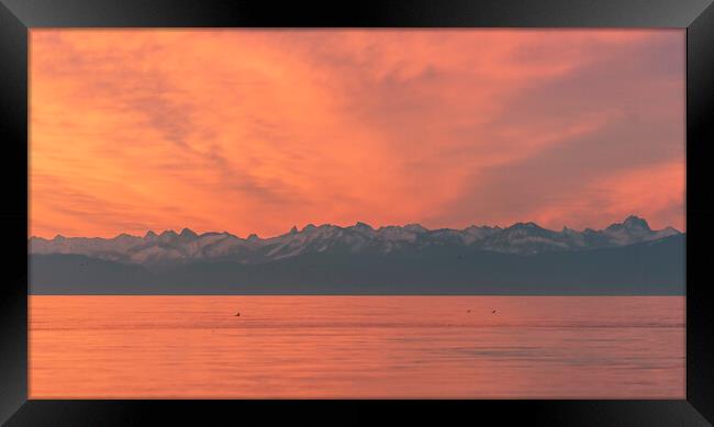 European Alps and lake Constance at sunset. Red sky evening in Constance, Germany Framed Print by Daniela Simona Temneanu