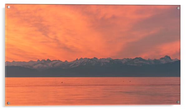 European Alps and lake Constance at sunset. Red sky evening in Constance, Germany Acrylic by Daniela Simona Temneanu
