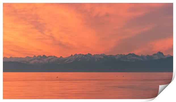European Alps and lake Constance at sunset. Red sky evening in Constance, Germany Print by Daniela Simona Temneanu