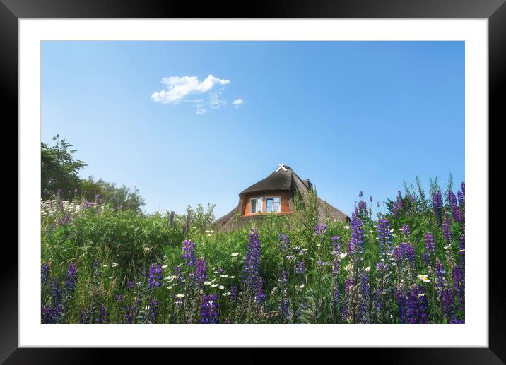 Frisian house with thatched roof  and colorful wildflower field Framed Mounted Print by Daniela Simona Temneanu