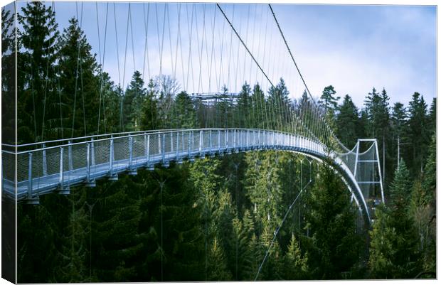 Suspension bridge in Black Forest, Germany. Metal bridge over pine trees Canvas Print by Daniela Simona Temneanu