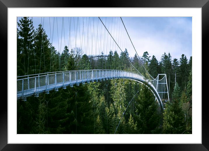 Suspension bridge in Black Forest, Germany. Metal bridge over pine trees Framed Mounted Print by Daniela Simona Temneanu