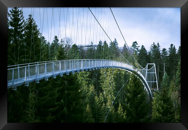 Suspension bridge in Black Forest, Germany. Metal bridge over pine trees Framed Print by Daniela Simona Temneanu