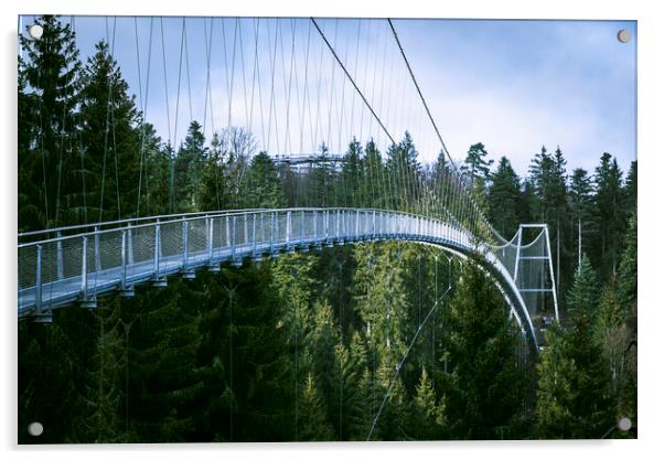 Suspension bridge in Black Forest, Germany. Metal bridge over pine trees Acrylic by Daniela Simona Temneanu