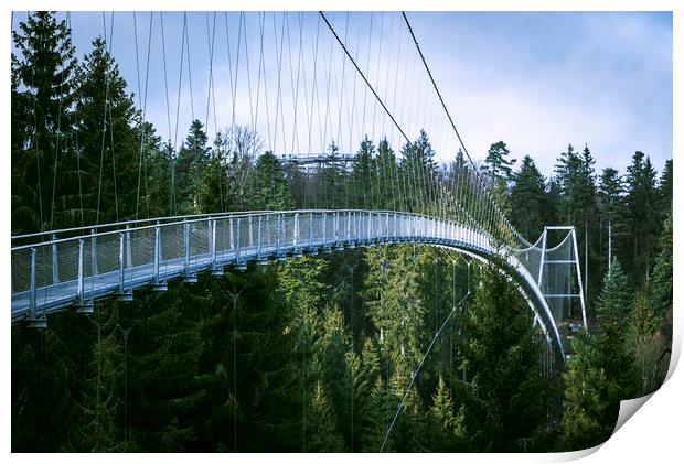 Suspension bridge in Black Forest, Germany. Metal bridge over pine trees Print by Daniela Simona Temneanu