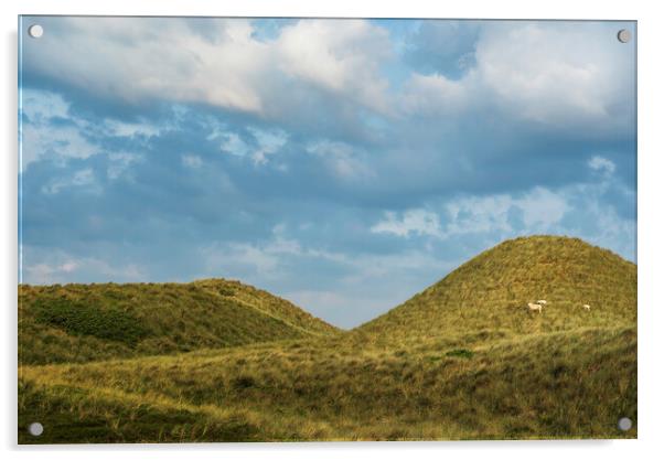 Grassy dunes landscape on Sylt island. Nature reserve at North Sea Acrylic by Daniela Simona Temneanu