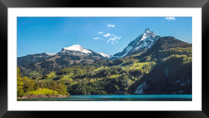 Mountain peaks in swiss Alps. Summer landscape in Switzerland Framed Mounted Print by Daniela Simona Temneanu