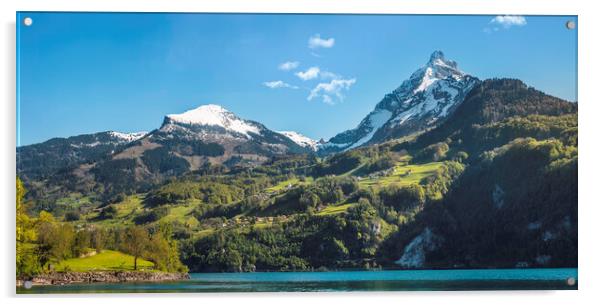 Mountain peaks in swiss Alps. Summer landscape in Switzerland Acrylic by Daniela Simona Temneanu