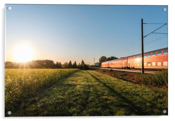 Passenger train and rapeseed field. Spring landscape at sunrise Acrylic by Daniela Simona Temneanu