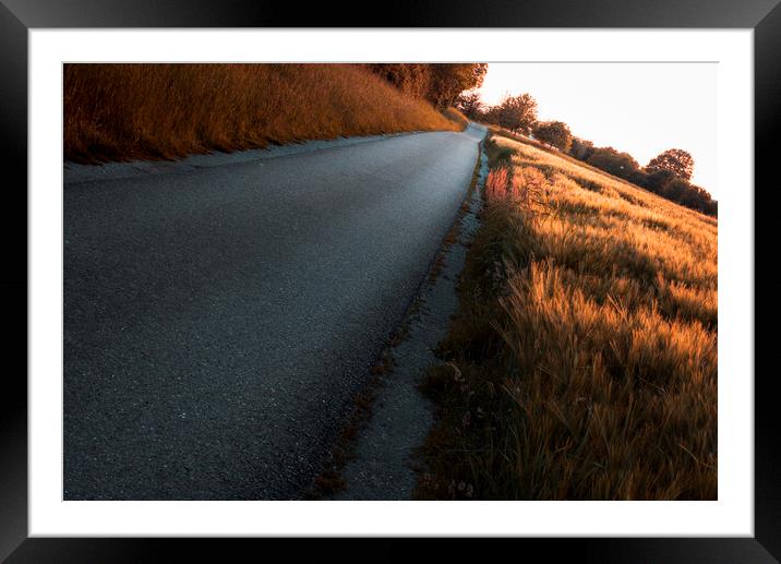 Pathway going forward through cereal fields at golden hour Framed Mounted Print by Daniela Simona Temneanu