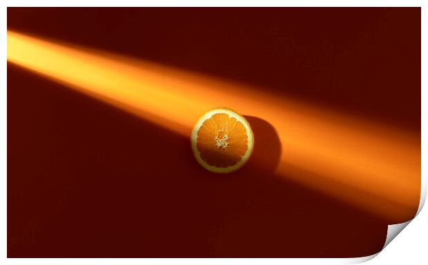 Orange slice in sunlight. Fresh slice of orange. Minimal image Print by Daniela Simona Temneanu