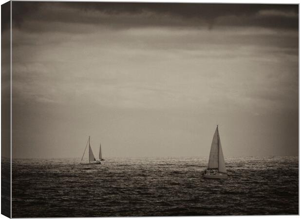 Sailing along the coast of Barcelona Canvas Print by JM Ardevol
