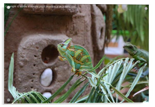 Veiled chameleon on a plant Acrylic by aurélie le moigne