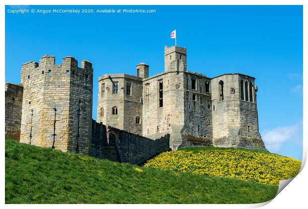 Warkworth Castle springtime Print by Angus McComiskey