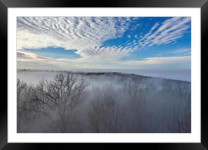 Fluffy clouds over the forest Framed Mounted Print by Arpad Radoczy