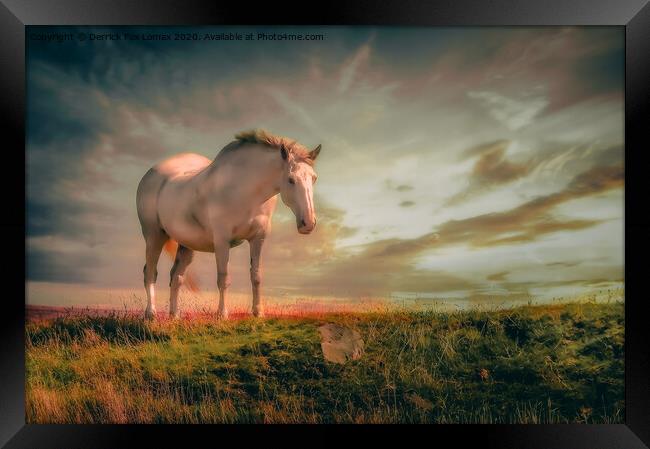 Horse on the Hill Framed Print by Derrick Fox Lomax