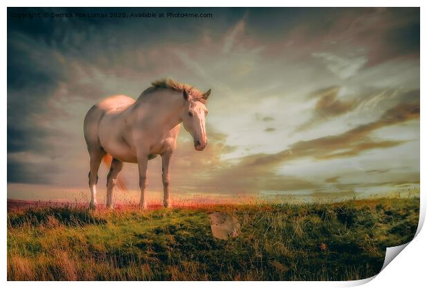Horse on the Hill Print by Derrick Fox Lomax