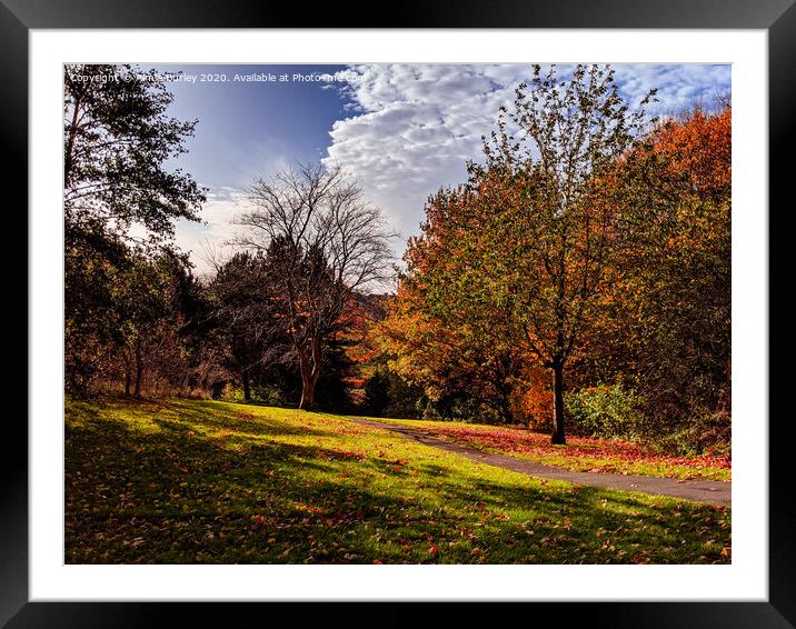 Autumn in North Tyneside  Framed Mounted Print by Aimie Burley