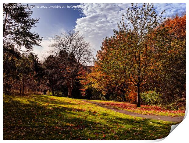 Autumn in North Tyneside  Print by Aimie Burley