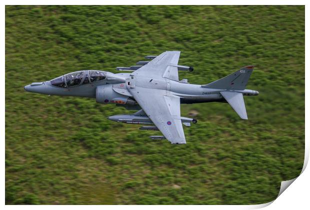 British Aerospace Harrier T12 Print by Oxon Images